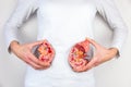 Woman holding model kidney halves at body