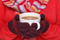 Woman holding a mug of hot chocolate Royalty Free Stock Photo