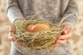Woman holding nest with chicken eggs, closeup Royalty Free Stock Photo