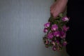 Woman holding old dry flowers Royalty Free Stock Photo