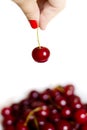 Woman is holding one red cherry Royalty Free Stock Photo