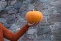 Woman holding orange pumpkin in hand Royalty Free Stock Photo