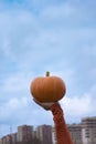 Woman holding orange pumpkin in hand on sky background Royalty Free Stock Photo