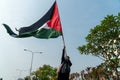 a woman holding a Palestinian flag