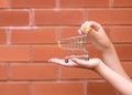 woman holding on palm shopping trolley against brick wall