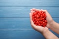 Woman holding pile of fresh ripe goji berries over blue wooden table. Space for text Royalty Free Stock Photo