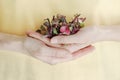 Woman holding plastic container with Red Rambo Radish Microgreens