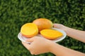 Woman holding plate with ripe juicy mango outdoors, closeup Royalty Free Stock Photo