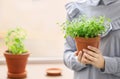 Woman holding pot with fresh oregano, closeup