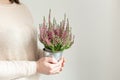 Woman holding pot with heather in her hands. Home gardening, house decoration with seasonal fall plants. Copy space