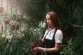 Woman holding a pot with houseplant in hands Royalty Free Stock Photo