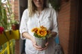 Woman holding potted colorful flowers on balcony