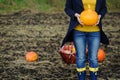 Woman holding pumpkin. Harvesting. Rural Lifestyle.