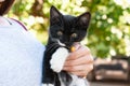 woman holding qute black with white cat in the garden Royalty Free Stock Photo