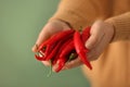 Woman holding red chili peppers, closeup Royalty Free Stock Photo