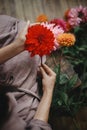 Woman holding red dahlia flower and sitting on wooden rustic bench, view above. Atmospheric moody image. Florist in linen dress