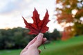 Woman holding Red Maple Leaf with autumn foliage and trees nature background