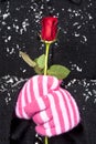 Woman holding red rose in wintertime Royalty Free Stock Photo