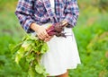 Woman holding a ripe beetroot. Local farming, harvesting concept