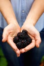 Woman holding ripe blackberries