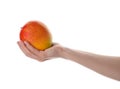 Woman holding ripe exotic mango on background, closeup Royalty Free Stock Photo