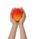 Woman holding ripe exotic mango on background, closeup Royalty Free Stock Photo