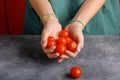 Woman holding ripe tomatoes cherry in her hands at gray table background, close up Royalty Free Stock Photo