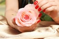 Woman holding rose in manicured hands with red nail polish on fabric Royalty Free Stock Photo