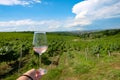 Woman holding rose wine glass in vineyard Royalty Free Stock Photo