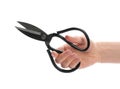 Woman holding scissors on white background Royalty Free Stock Photo