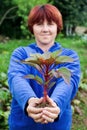 Woman holding a seedling in her hands.