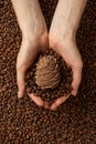 Woman holding shelled pine nuts, closeup, healthylife background concept