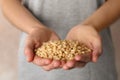 Woman holding shelled pine nuts, closeup. Royalty Free Stock Photo