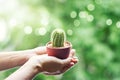 Woman holding a small cactus in hands gently on nature