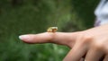 Close-up of small forest frog toad, sitting on the finger woman in Taiwan