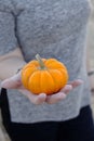 Woman Holding Small Orange Pumpkin in Hand Royalty Free Stock Photo