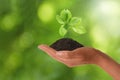 Woman holding small plant in soil on blurred background, closeup. Ecology protection Royalty Free Stock Photo