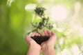 Woman holding small tree in soil on green background, closeup. Ecology protection Royalty Free Stock Photo