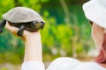 The woman is holding a small turtle in her hand. Let turtle to nature for making merit. Royalty Free Stock Photo