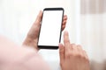 Woman holding smartphone with blank screen on blurred background, closeup of hands Royalty Free Stock Photo