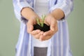 Woman holding soil with green plant in hands, closeup. Ecology concept Royalty Free Stock Photo