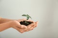 Woman holding soil with green plant in hands on light background. Ecology concept Royalty Free Stock Photo