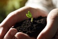 Woman holding soil with little green seedling Royalty Free Stock Photo