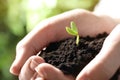 Woman holding soil with little green seedling Royalty Free Stock Photo