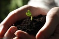 Woman holding soil with little green seedling, closeup Royalty Free Stock Photo