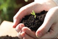 Woman holding soil with little green seedling, closeup Royalty Free Stock Photo