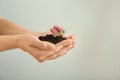 Woman holding soil with plant in hands on light background. Ecology concept Royalty Free Stock Photo