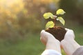 Woman holding soil with young green seedling, closeup. Planting tree. Space for text Royalty Free Stock Photo