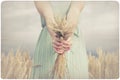 Woman holding some corn spikes Royalty Free Stock Photo