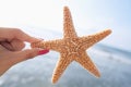 Woman holding starfish at the beach Royalty Free Stock Photo